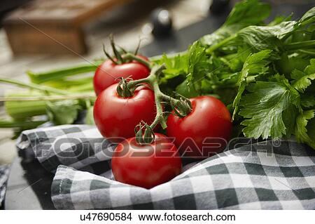 Fresh Tomatoes On Checked Cloth View Large Photo Image Picture - Fresh Tomatoes On Checked Cloth. Fotosearch