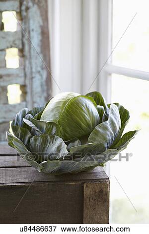 Fresh White Cabbage On Wooden Box View Large Photo Image Stock Photo - Fresh White Cabbage On Wooden Box. Fotosearch