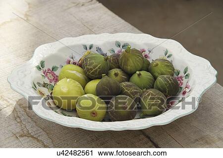 Freshly Picked Figs In A Bowl View Large Photo Image Stock Image - Freshly Picked Figs In A Bowl. Fotosearch
