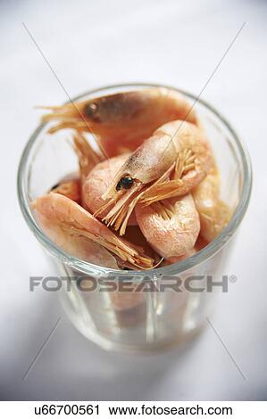 Glass Of Shell On Prawns Against White Background View Large Photo Image Stock Image - Glass Of Shell On Prawns Against White Background. Fotosearch