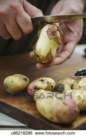 Man Peeling Potatoes On Chopping Board View Large Photo Image Stock Photograph - Man Peeling Potatoes On Chopping Board. Fotosearch