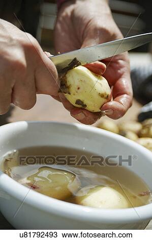 Man Peeling Potatoes Over Bowl Of Water View Large Photo Image Stock Image - Man Peeling Potatoes Over Bowl Of Water. Fotosearch