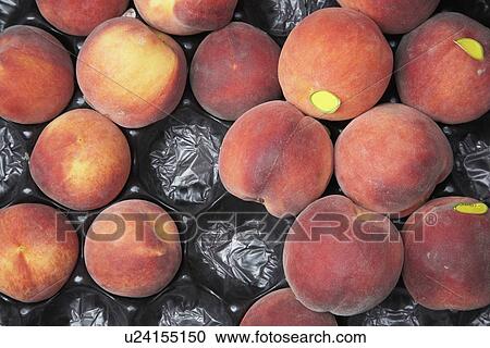 Overhead View Of Fresh Peached In Tray View Large Photo Image Stock Image - Overhead View Of Fresh Peached In Tray. Fotosearch