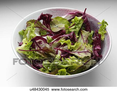 A bowl of radicchio mixed leaf salad on a white background View Large Photo Image Stock Photography - A bowl of radicchio mixed leaf salad on a white background. Fotosearch