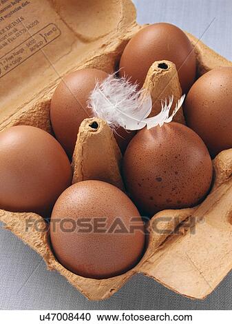 Stock Image - A carton of six free range eggs. Fotosearch