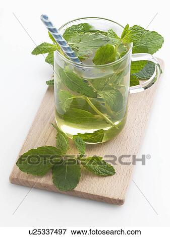 A glass mug of hot mint tea View Large Photo Image Stock Photo - A glass mug of hot mint tea. Fotosearch