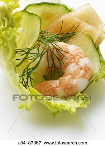 Stock Photo - A prawn with lettuce cucumber slices and dill. Fotosearch
