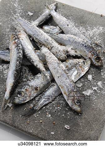 Stock Image - A slab of fresh seasoned whitebait. Fotosearch