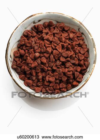 Annatto View Large Photo Image Stock Image - Annatto. Fotosearch