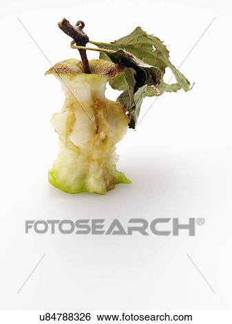 apple core View Large Photo Image Stock Photograph - apple core. Fotosearch