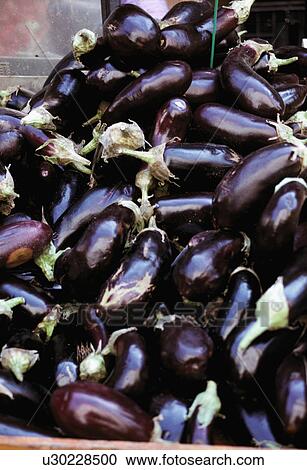 Aubergines at local market, in Toulon, Provence, France. View Large Photo Image Stock Image - Aubergines at local market, in Toulon, Provence, France.. Fotosearch