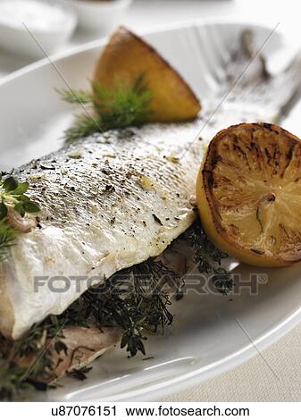 Stock Image - Baked sea bass with dill and thyme. Fotosearch
