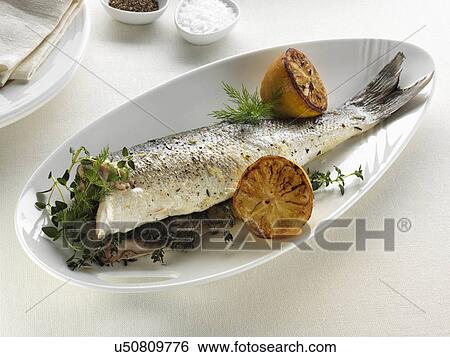 Baked sea bass with dill and thyme View Large Photo Image Stock Photograph - Baked sea bass with dill and thyme. Fotosearch