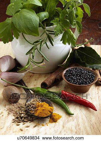 Basil rosemary bay leaf black pepper corns chillies nutmeg turmeric garlic cloves cinnamon View Large Photo Image Picture - Basil rosemary bay leaf black pepper corns chillies nutmeg turmeric garlic cloves cinnamon. Fotosearch