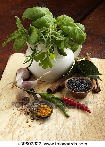 Basil rosemary bay leaf black pepper corns chillies nutmeg turmeric garlic cloves cinnamon View Large Photo Image Stock Image - Basil rosemary bay leaf black pepper corns chillies nutmeg turmeric garlic cloves cinnamon. Fotosearch