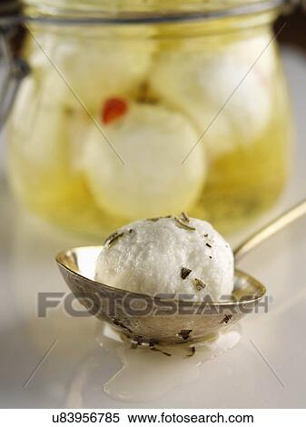 Stock Photography - Boilie goat. Fotosearch