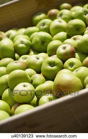 Box Of Full Frame Of Freshly Picked Apples View Large Photo Image Stock Image - Box Of Full Frame Of Freshly Picked Apples. Fotosearch