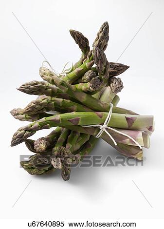 Bunches of fresh asparagus View Large Photo Image Stock Photography - Bunches of fresh asparagus. Fotosearch