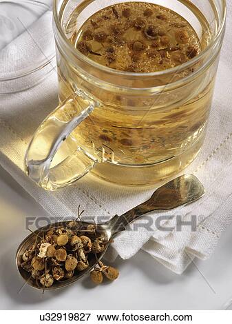 Camomile tea View Large Photo Image Stock Photo - Camomile tea. Fotosearch