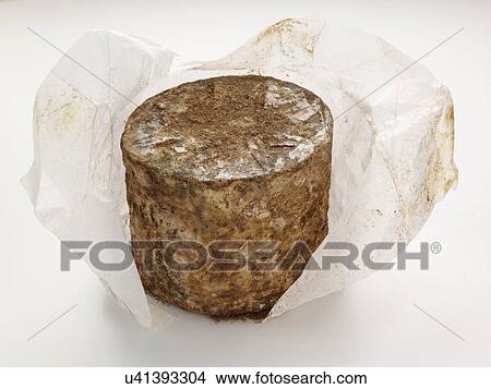 Cave aged traditional cloth wrapped mature cheddar cheese View Large Photo Image Picture - Cave aged traditional cloth wrapped mature cheddar cheese. Fotosearch