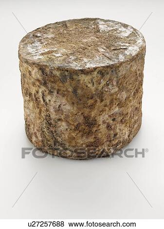 Cave aged traditional cloth wrapped mature cheddar cheese truckle View Large Photo Image Stock Photo - Cave aged traditional cloth wrapped mature cheddar cheese truckle. Fotosearch