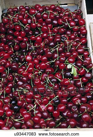 Cherries at local market, Cavalaire, Provence, France. View Large Photo Image Stock Image - Cherries at local market, Cavalaire, Provence, France.. Fotosearch