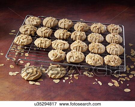 Stock Photo - Cinnamon almond cookies. Fotosearch