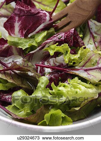 Close up of a bowl of radicchio mixed leaf salad on a white background View Large Photo Image Stock Image - Close up of a bowl of radicchio mixed leaf salad on a white background. Fotosearch