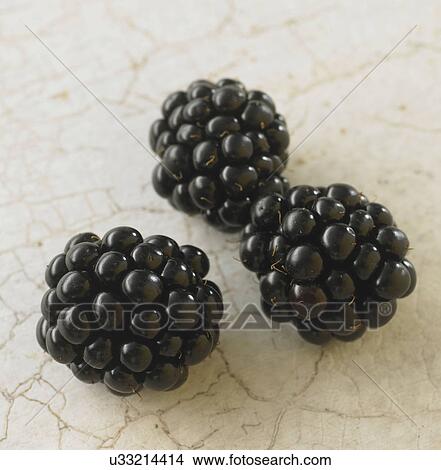 Close Up Of Blackberries On Colored Background View Large Photo Image Picture - Close Up Of Blackberries On Colored Background. Fotosearch