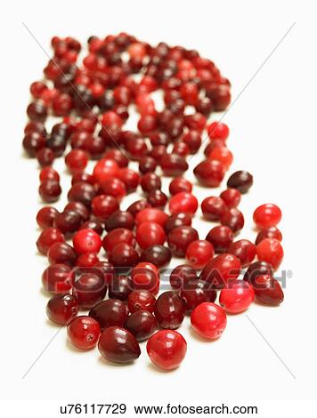 Close Up Of Cranberries On White Background View Large Photo Image Stock Photo - Close Up Of Cranberries On White Background. Fotosearch