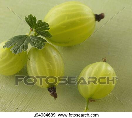 Stock Photo - Close Up Of Gooseberries On Colored Background. Fotosearch