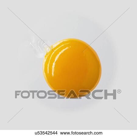 Close Up Of Raw Egg Yolk View Large Photo Image Picture - Close Up Of Raw Egg Yolk. Fotosearch