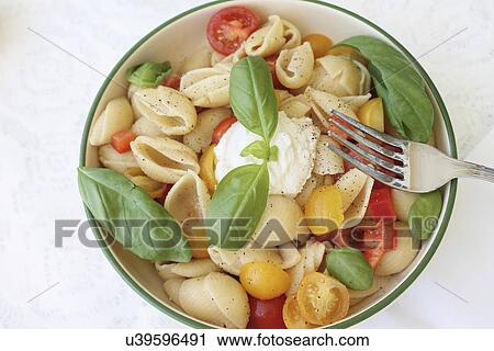 Conchiglie Pasta Salad With Mozzarella And Tomato View Large Photo Image Stock Image - Conchiglie Pasta Salad With Mozzarella And Tomato. Fotosearch