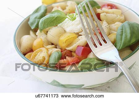 Conchiglie Pasta Salad With Mozzarella And Tomato View Large Photo Image Stock Image - Conchiglie Pasta Salad With Mozzarella And Tomato. Fotosearch