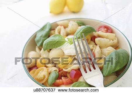 Conchiglie Pasta Salad With Mozzarella And Tomato View Large Photo Image Stock Photo - Conchiglie Pasta Salad With Mozzarella And Tomato. Fotosearch