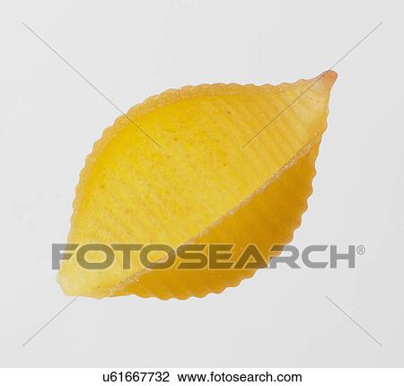 Conchiglie Pasta Shell On White Background View Large Photo Image Stock Image - Conchiglie Pasta Shell On White Background. Fotosearch