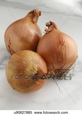 Stock Photography - Cooking onions. Fotosearch