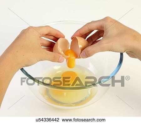 Cracking A Fresh Uncooked Egg Into A Pyrex Bowl View Large Photo Image Stock Image - Cracking A Fresh Uncooked Egg Into A Pyrex Bowl. Fotosearch