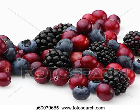 Cranberries blackberries and blueberries on a white background View Large Photo Image Stock Photography - Cranberries blackberries and blueberries on a white background. Fotosearch