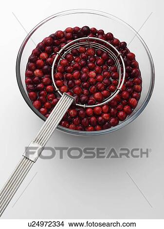 Cranberries in a bowl with a metal strainer View Large Photo Image Picture - Cranberries in a bowl with a metal strainer. Fotosearch