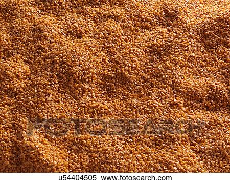 Entire frame lentils View Large Photo Image Stock Photography - Entire frame lentils. Fotosearch