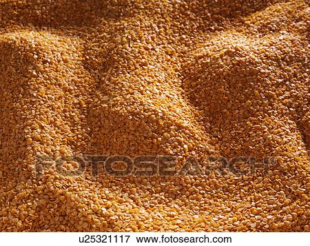 Stock Photo - Entire frame red split lentils. Fotosearch