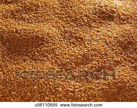 Stock Photography - Entire frame red split lentils. Fotosearch