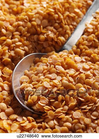 Stock Image - Entire frame red split lentils with a spoon. Fotosearch