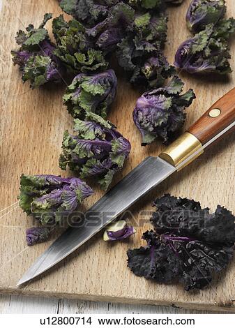 Picture - Flower sprout ingredients. Fotosearch