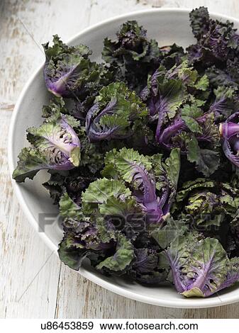 Flower sprout ingredients View Large Photo Image Stock Photo - Flower sprout ingredients. Fotosearch