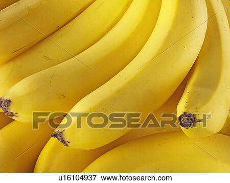 Fresh Bananas View Large Photo Image Stock Photo - Fresh Bananas. Fotosearch