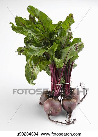 Picture - Fresh beetroot with leaves. Fotosearch