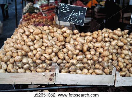 Fresh potatoes at local market, France. View Large Photo Image Stock Image - Fresh potatoes at local market, France.. Fotosearch