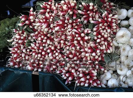 Picture - Fresh ripe radishes displayed on a French local market stall. Fotosearch